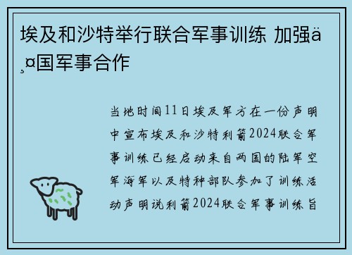 埃及和沙特举行联合军事训练 加强两国军事合作